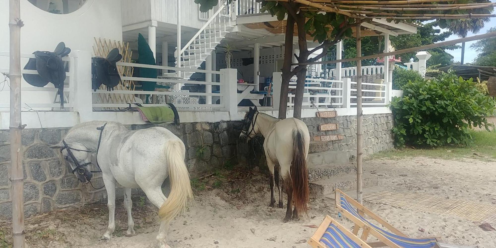 Khao Tao Beach Lodge Old Siam HHQ Buitenkant foto